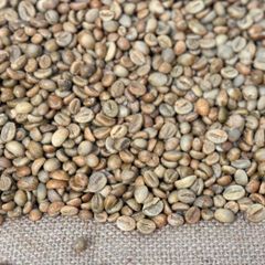 Robusta Green Bean Coffee - Indonesia (Grade 1/2/3) - Image 2