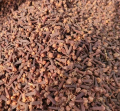 Dried Clove – product photo 4, product detail gallery