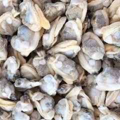 Fresh Short Necked Meat Frozen Baby Clams Shell On Style FROZEN Packaging Bag Brand Name MTH Address FUJIAN Ingredients - Image 2