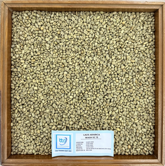 Laos Arabica Grade 1, Screen 16 18, Fully-Washed - Image 2