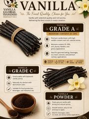 Vanilla Planifolia Grade A – product photo 5, product detail gallery