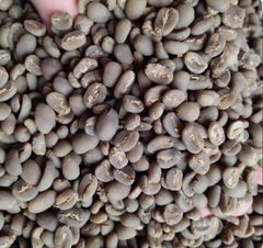 green Bean Arabica – product photo 2, product detail gallery