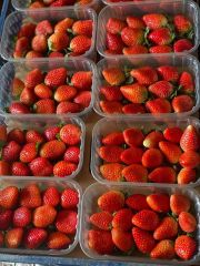 Straw berry - Image 2