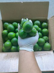 Lemon, coconut,mix fruit, dragon fruit banana  Origin Vietnam Shelf Life 45 Days Shape Sphere, Whole Color Natural - Image 1