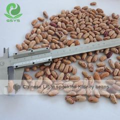 Light Speckled Kideny Beans - Image 4