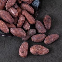 High Quality Cocoa Beans for Export | Fermented and Dried | 25kg/50kg Bags | France Supplier – product photo 5, product detail gallery