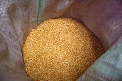 Split Yellow Peas - SAINT FATIMA COMPANY