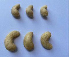 Kenyan High Quality Raw Cashew Nuts  Shelf Life 24 Months Drying Process Raw Dried Grade W210, W240, W320, W450, WB, WS, LWP, - Image 1