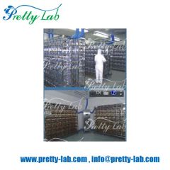Rodent Guinea Pig Rabbit Ivc, Lab Individual Ventilated Cage Lab Animal Cage - Image 2