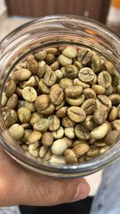 Robusta Green Coffee Beans – product photo 2, product detail gallery