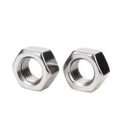 Nuts Manufacture DIN934 Hex Nuts 304 Stainless Steel Hexagon Nuts M4 M5 M6 M8 M10 M12 M14 HGi5tD - Bolnut Fastener Co., Ltd