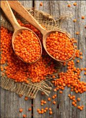 Red lentils - Image 1