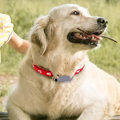 Pet Collar Tracker for GPS Locating Dogs - Image 5