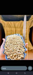 Robusta Coffee Beans screen 18,15 & 12 - Image 6