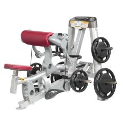 Popular Hoist Body Building Equipment Biceps Curl (SR2-09) Age Adult Origin China Condition New Color Optional Trademark - Dezhou Kasung Fitness Equipment Co., Ltd.