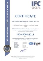 ISO 45001 CERTIFICATE certificate from GUZEL CAN GIDA TARIM URUNLERI INS.TUR.SAN.TIC.VE.LTD.STI