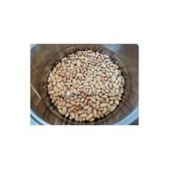 Premium grade sugar beans for wholesale food supply and processing - Image 1