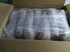 Sell Frozen Rabbit Meat Export Type Rabbit Style FROZEN Grade GradeA Packaging Box Brand Name OEM Quality Management Model Number - Image 3