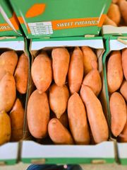 Sweet potato - Image 1