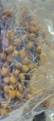 250 Brightkin Ceramic Capacitors, For Fans Terminals 2 Material Ceramic Usage/Application Fans Product Capacitance 250 Type of Capacitors Single Layer - Image 3