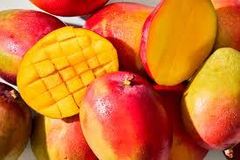 Premium  Fresh Fruit Mango export standard Fat 0.4 G Fiber 1.6 G Sugars 14 G Protein 0.8 G Brix 13 – 22° Energy 60 Kcal Vitamin C 36 - Image 1
