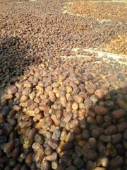Supplying Egyptian seasonal fruits and vegetables – product photo 2, product detail gallery