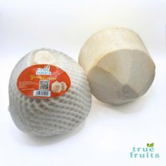 TF Diamond Coconut – product photo 1, product detail gallery