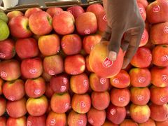 FRESH PINK LADY APPLES FOR SALE!! CLASS 1 EXPORT QUALITY PINK LADY APPLES FOR EXPORT – product photo 5, product detail gallery