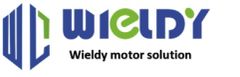 Changzhou Wieldy Motor Solution Co., Ltd.