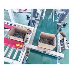 2026 Latest Full Automatic Nails Screws Nuts Whasers Bolts Fasteners Hardware Boxes Cartons Packing Production Line - Image 3