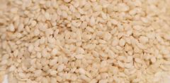 Sesame seed - Image 1
