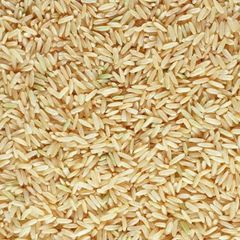 Wholesale Paddy Rice Premium Quality Bulk Supply - Image 4