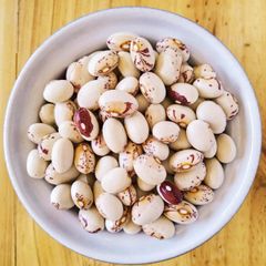 Dried Sugar Beans For Wholesale Supply With High Purity And Minimal Impurities For Food Industry Applications - Image 1
