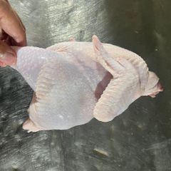 Frozen Whole Chicken for Sale Fresh Frozen Whole Chicken Bulk Packed Ready for Distribution and Food Services - Image 1