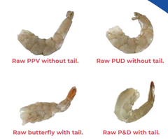 Ecuadorian Vannamei Shrimp - Image 1