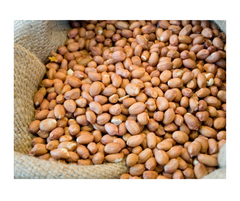 Good quality peanuts from Vietnam Type Peanut Style Dried Grade top grade Model Number Toni Shelf Life 12months Processing Type - Image 1