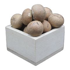 Supply High quality dried Betel Nut from Vietnam raw material fast delivery time best price – product photo 2, product detail gallery