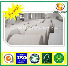230g Double PE Coated Paper/Tea Cup paper - Image 5