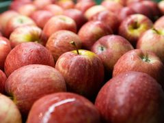 Fresh Apples – product photo 2, product detail gallery