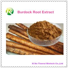 100% Natural Burdock Root Extract Arctiin - Image 1