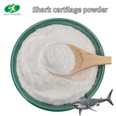 Common Shark Cartilage Extract Powder Low Price - Image 6