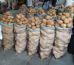 Semi Husk Coconut – product photo 3, product detail gallery