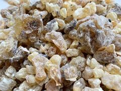 Maydi / Meydi- Boswellia frereana - Image 1