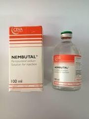 Buy High-quality Nembutal Pentobarbital Sodium Powder supplied by HISH 82 RESOURCES. Bulk wholesale pricing is $150 per Gram with a minimum order of 15 Gram. Inquiry for latest prices. - Image 4