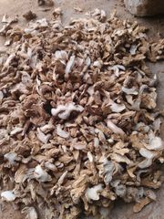 Dry Ginger Slice (Split) - Image 1