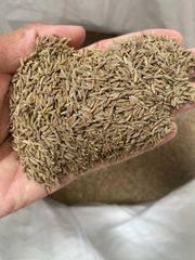 Cumin Seeds - Image 2