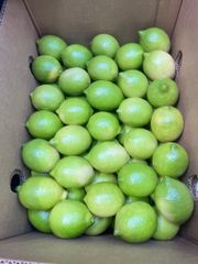 FRESH GREEN SEEDLESS LEMONS FOR SALE!! CLASS 1 EXPORT QUALITY EUREKA LEMONS FOR EXPORT – product photo 2, product detail gallery