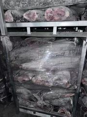 Frozen Oilfish hgt - Image 2