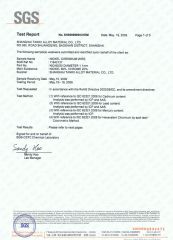 RoHS of Nichrome Wire certificate from Shanghai Tankii Alloy Material Co., Ltd.