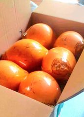 King Coconuts - Image 1